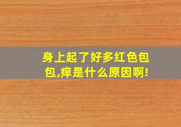 身上起了好多红色包包,痒是什么原因啊!