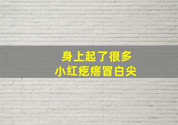 身上起了很多小红疙瘩冒白尖