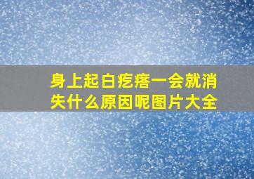 身上起白疙瘩一会就消失什么原因呢图片大全