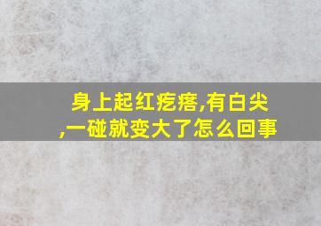 身上起红疙瘩,有白尖,一碰就变大了怎么回事