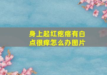 身上起红疙瘩有白点很痒怎么办图片