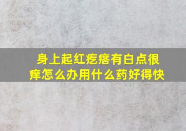 身上起红疙瘩有白点很痒怎么办用什么药好得快