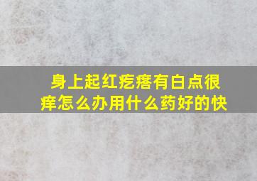 身上起红疙瘩有白点很痒怎么办用什么药好的快