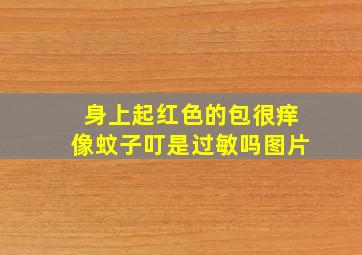 身上起红色的包很痒像蚊子叮是过敏吗图片