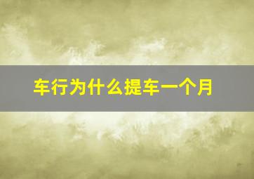 车行为什么提车一个月