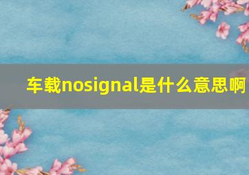 车载nosignal是什么意思啊