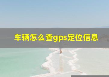 车辆怎么查gps定位信息