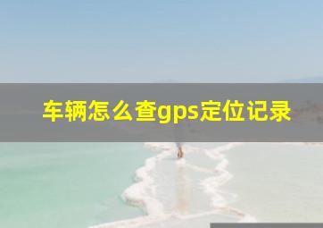 车辆怎么查gps定位记录