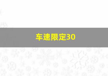 车速限定30