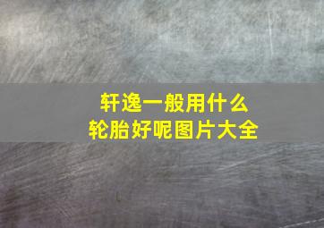 轩逸一般用什么轮胎好呢图片大全