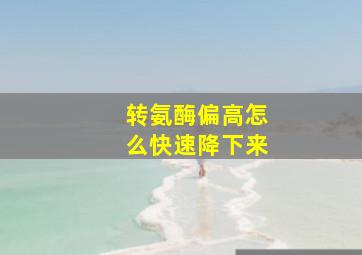 转氨酶偏高怎么快速降下来