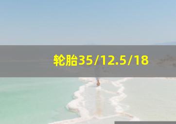 轮胎35/12.5/18