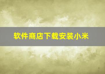 软件商店下载安装小米