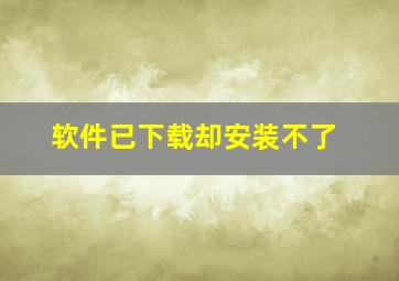 软件已下载却安装不了