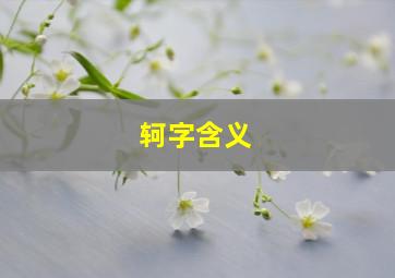 轲字含义