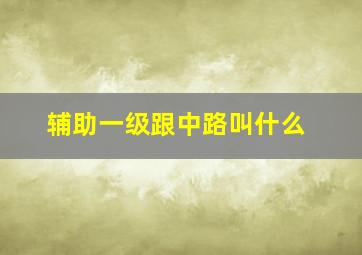 辅助一级跟中路叫什么