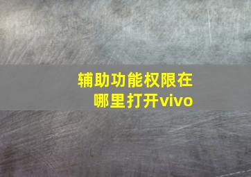 辅助功能权限在哪里打开vivo