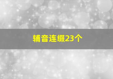 辅音连缀23个