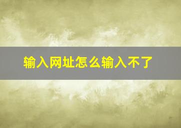 输入网址怎么输入不了