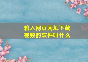 输入网页网址下载视频的软件叫什么