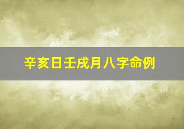 辛亥日壬戌月八字命例