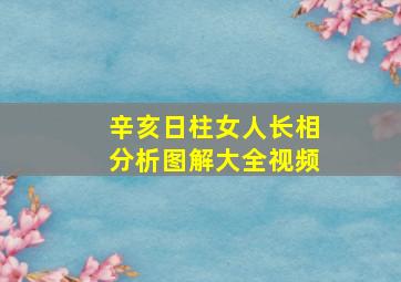 辛亥日柱女人长相分析图解大全视频