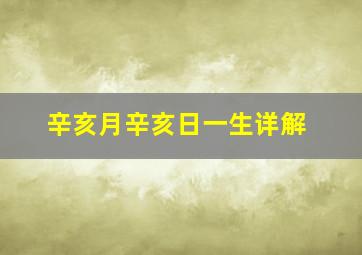 辛亥月辛亥日一生详解