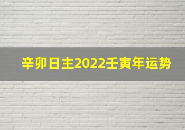 辛卯日主2022壬寅年运势