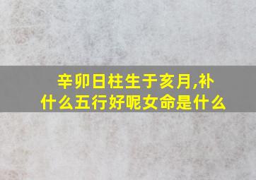 辛卯日柱生于亥月,补什么五行好呢女命是什么