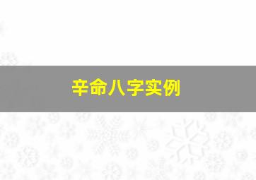 辛命八字实例