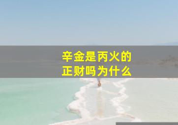 辛金是丙火的正财吗为什么