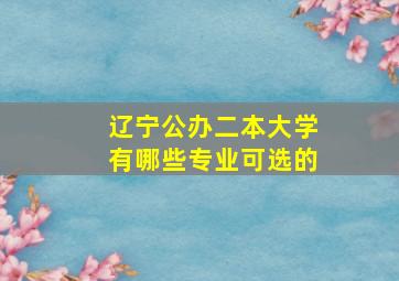 辽宁公办二本大学有哪些专业可选的