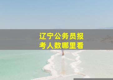 辽宁公务员报考人数哪里看