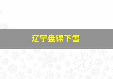 辽宁盘锦下雪