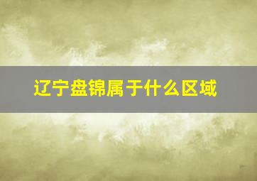 辽宁盘锦属于什么区域