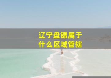 辽宁盘锦属于什么区域管辖