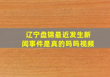 辽宁盘锦最近发生新闻事件是真的吗吗视频