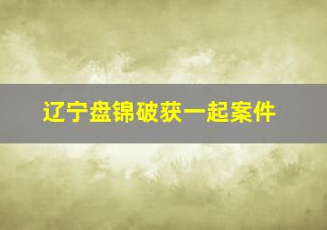 辽宁盘锦破获一起案件