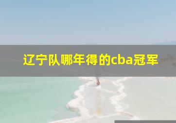 辽宁队哪年得的cba冠军