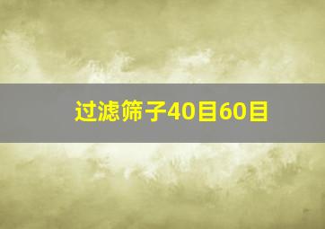 过滤筛子40目60目