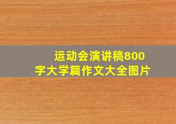 运动会演讲稿800字大学篇作文大全图片