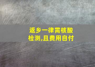 返乡一律需核酸检测,且费用自付