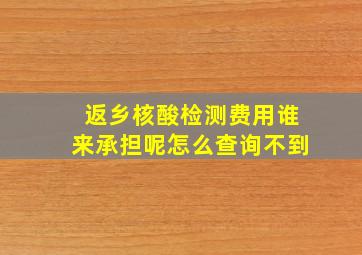 返乡核酸检测费用谁来承担呢怎么查询不到