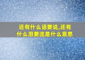 还有什么话要说,还有什么泪要流是什么意思