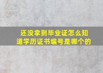 还没拿到毕业证怎么知道学历证书编号是哪个的