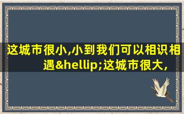 这城市很小,小到我们可以相识相遇…这城市很大,大到我