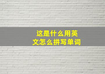 这是什么用英文怎么拼写单词