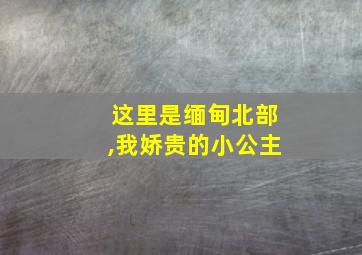 这里是缅甸北部,我娇贵的小公主