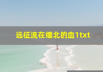 远征流在缅北的血1txt