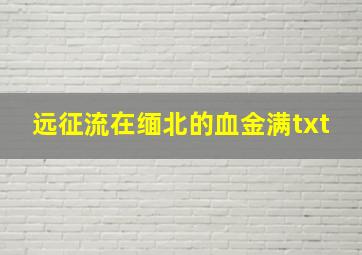 远征流在缅北的血金满txt